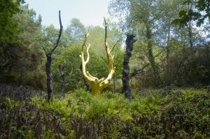 Das Tal ohne Wiederkehr und der Goldene Baume - Kredit : Guillaudeau Donatienne