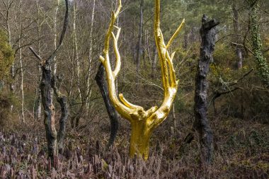 Der Goldene Baum - Das Tal ohne Wiederkehr