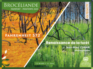 Bâche Printemps 2025 Brocéliande La Porte des Secrets 