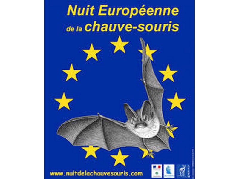 Nuit européenne de la chauve souris Monteneuf