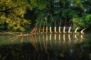 Convergence de Pascale Planche -étangs d'art 2018, photo Pascal-Glais
