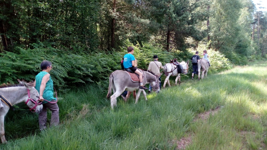 Balade d'Isane, randonnée avec un âne bâté ©Les balades d'Isane