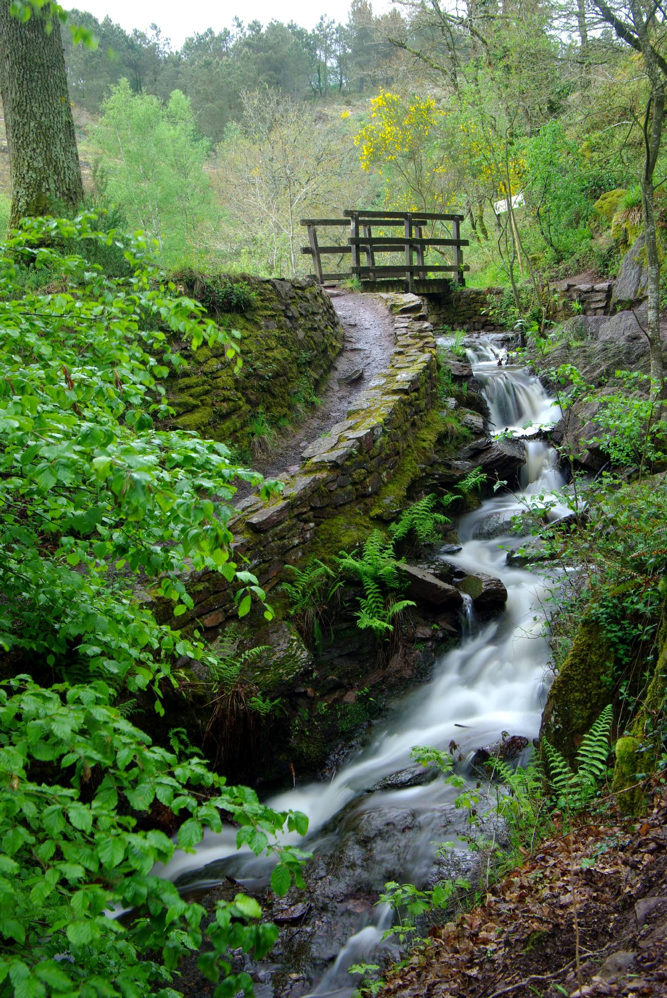 Val sans retour, balade contée Brocéliande