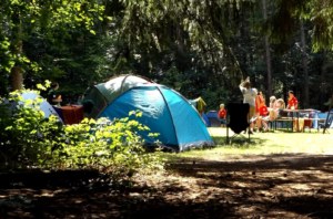camping en Brocéliande