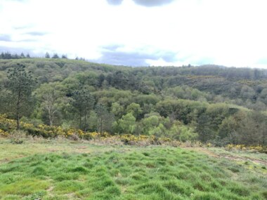 Le Val enchanté en Brocéliande