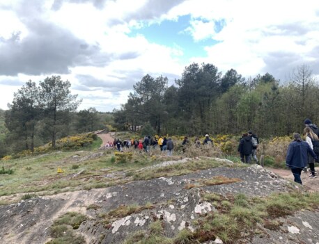 Le Val enchanté en Brocéliande