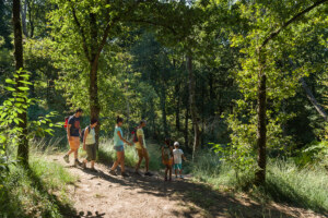 Sentier de randonnée - Photo couverture balades contées printemps 2024