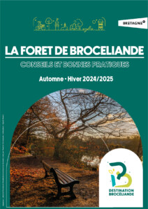 Conseils Forêt de Brocéliande Automne Hiver 2024 2025