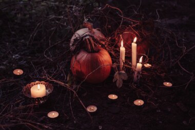 Image de citrouilles pour illustrer les balades contées des vacances de la Toussaint à Brocéliande