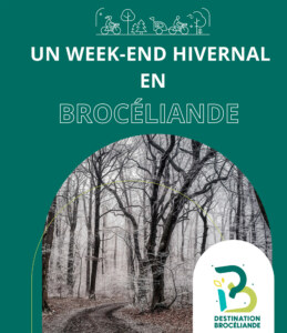 Un week-end idéal en Brocéliande HIVER - Couverture