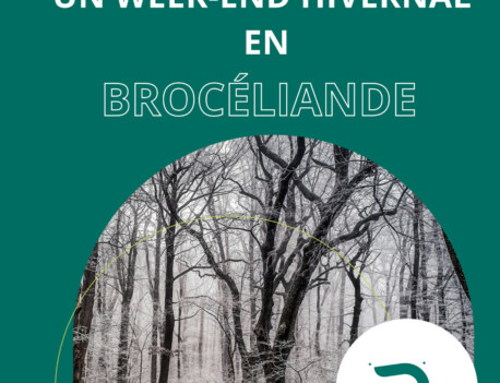 Un week-end idéal en Brocéliande HIVER - Couverture